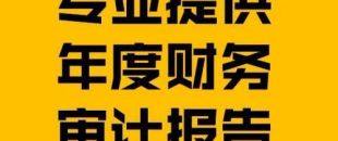 財務(wù)報表審計報告的費用是多少？